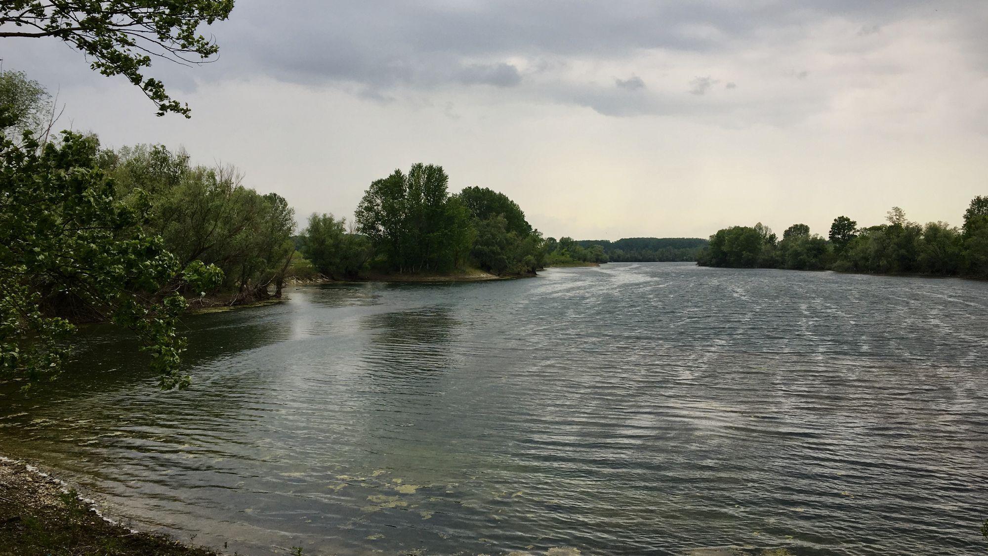 Cui îi trebuie mare când are Dunăre? Foto: Maria Tufan