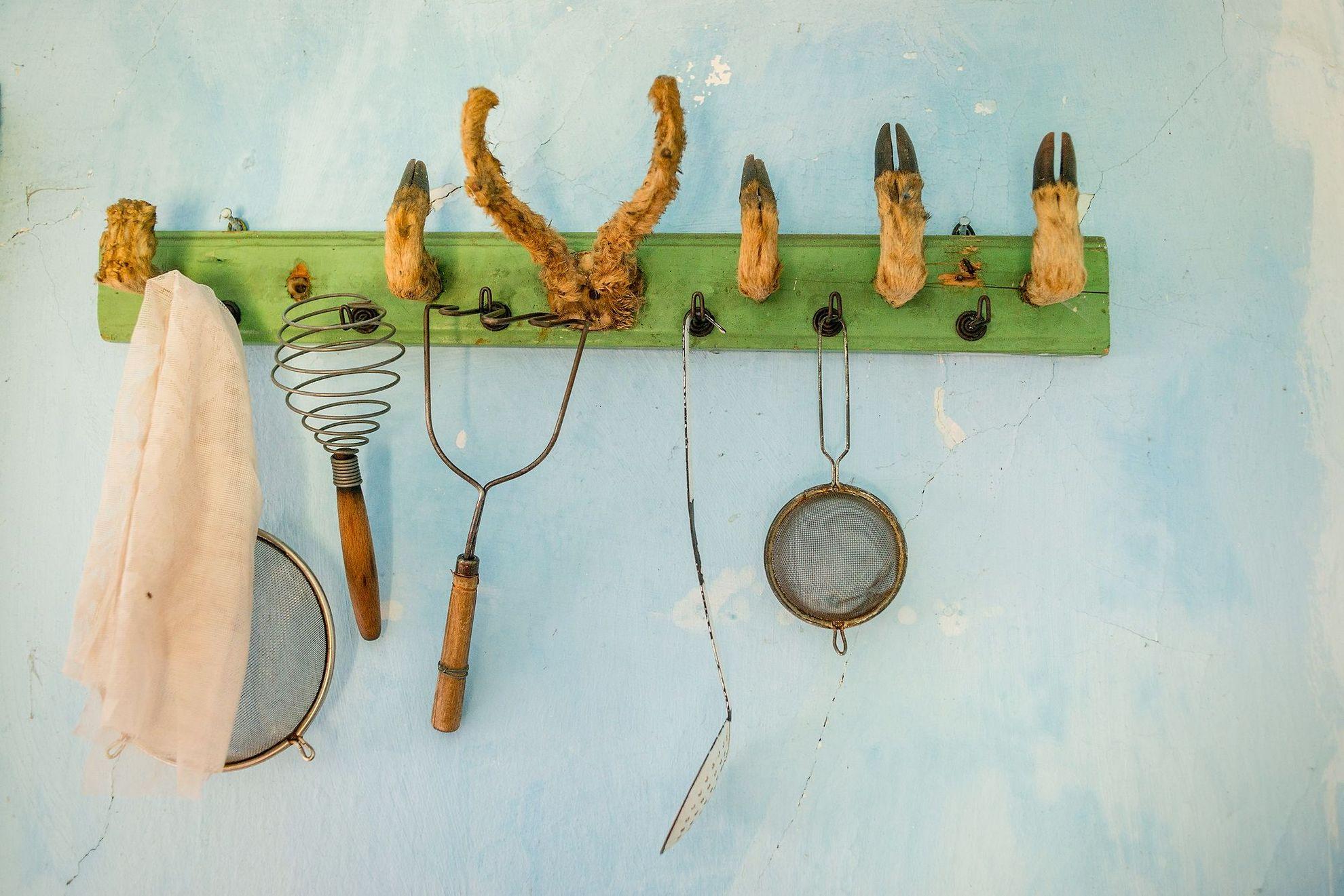 Cuier vănătoresc într-o gospodărie, Alun, Hunedoara