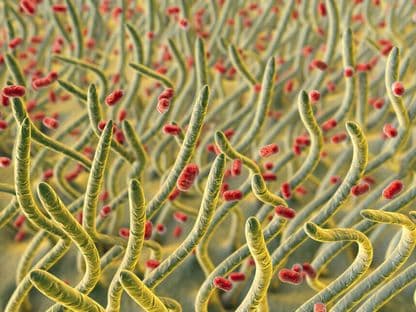 Ceasul al 12-lea în combaterea bacteriilor din spitale. Ministerul Sănătății știe, dar nu reacționează