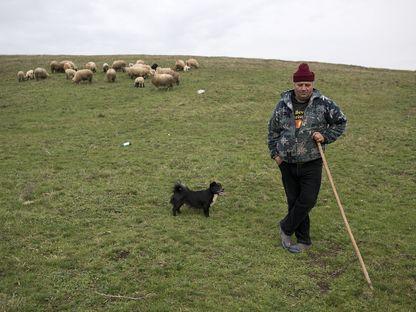 Snoop Dogg și plantațiile de cânepă din Bogata