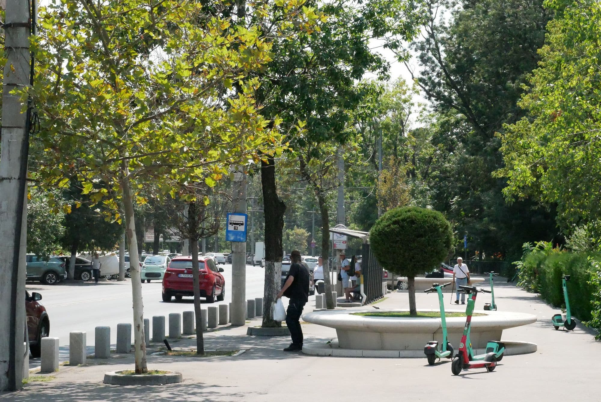 Un exemplu de mobilier stradal care se încadrează la categoria „așa nu”. Aici, umbra de care beneficiază banca este dată de arborele matur din apropiere, nu de cel plantat în mijlocul ei, a cărui coroană este prea mică pentru a o proteja de soare. Foto: Norbert Nemeș
