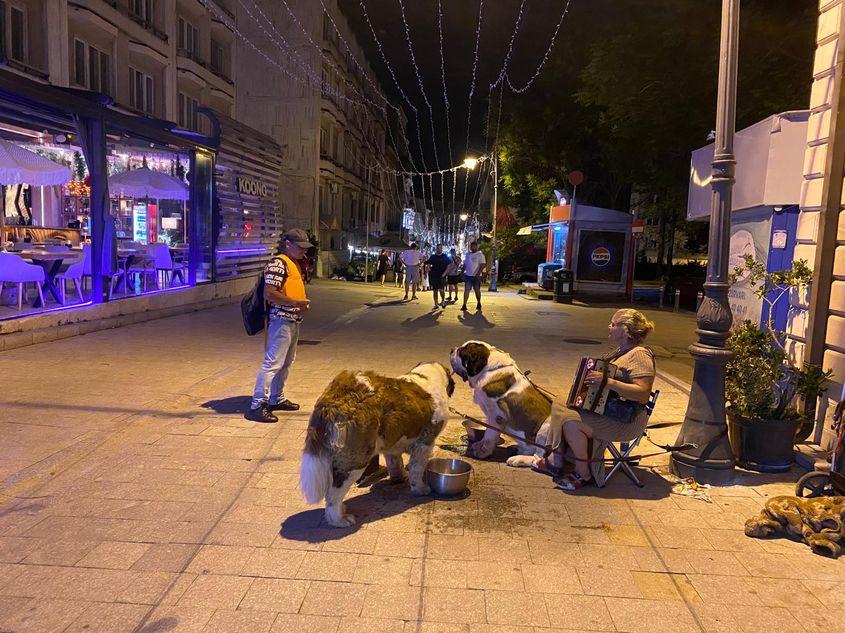 O femeie cântă la acordeon alături de câinii ei și un bărbat intră în vorbă cu ea. Foto: Oana Moisil / PressOne