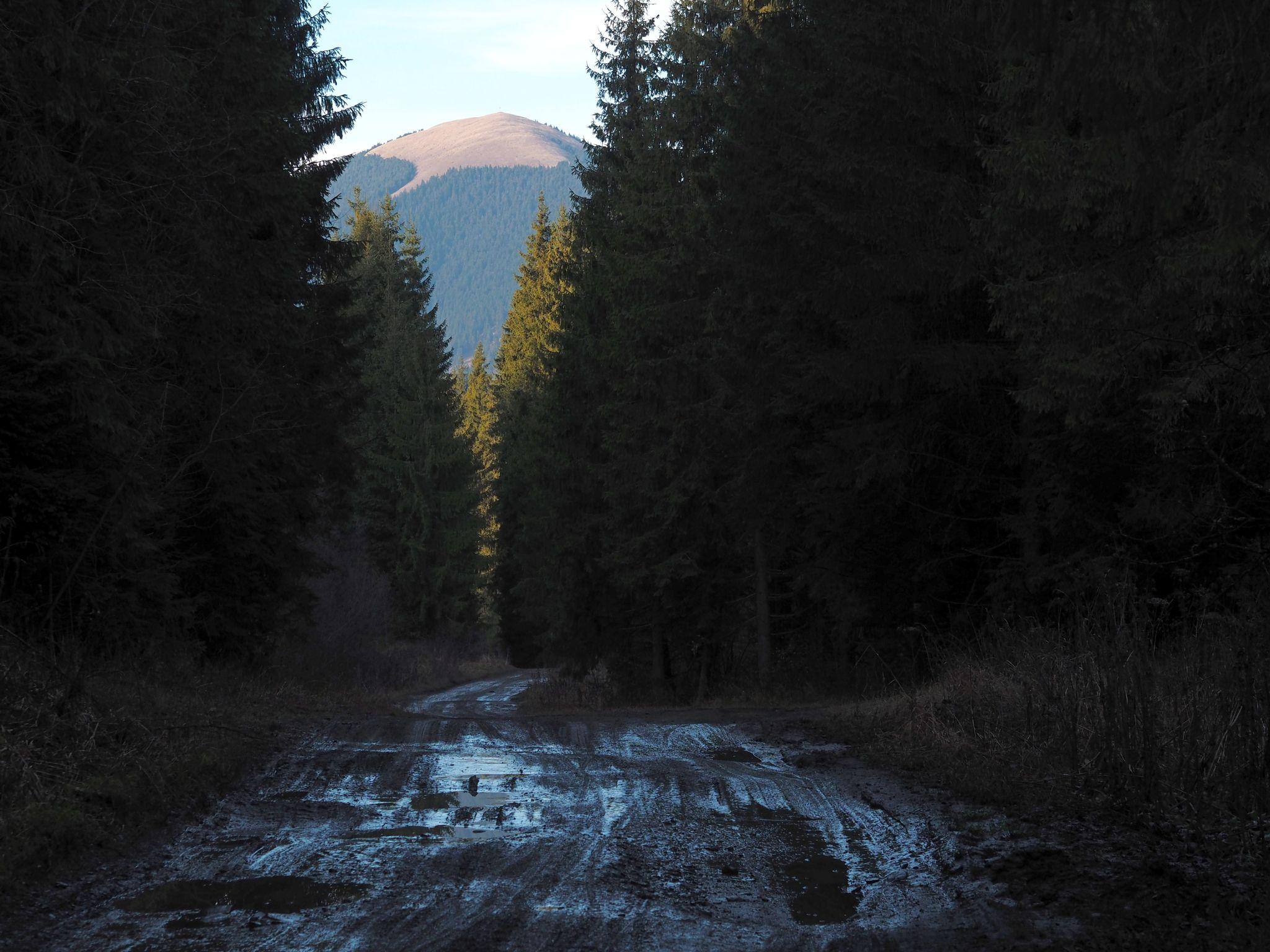 Așa arată Oușorul. Pre-pandemie exista chiar și o competiție: Hit the Egg!