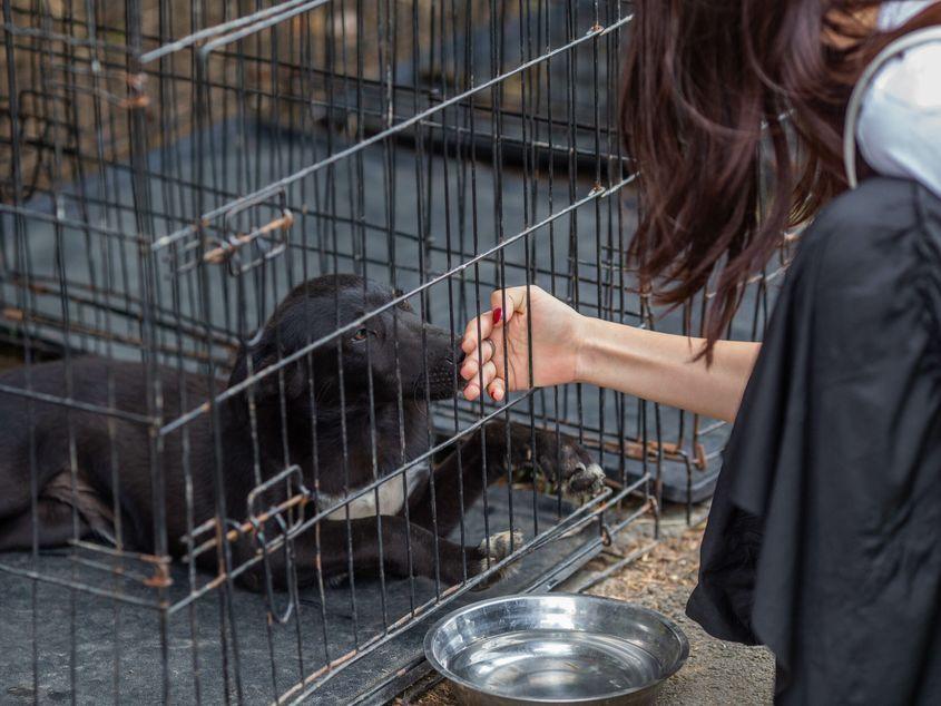 FOTO: Inquam Photos / Ilona Andrei