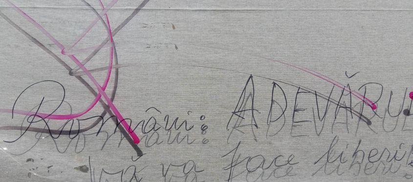 Foto: Lucian Muntean