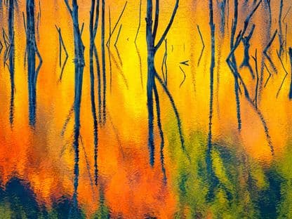 Cuejdel - Un basm în sălbăticia Carpaților. Interviu cu fotograful Gheorghe Popa