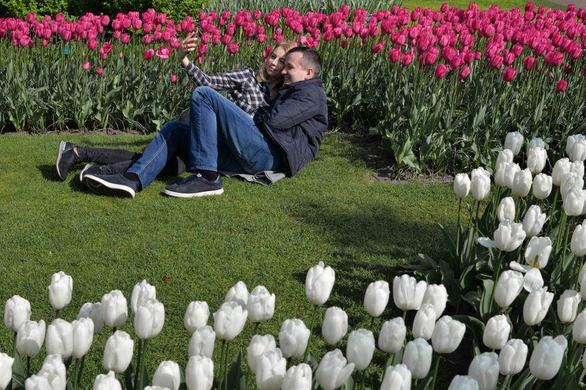 Amsterdam, Olanda. Foto: Lucian Muntean
