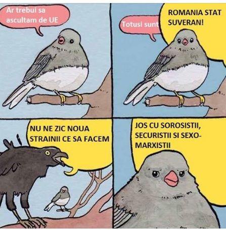 Autor: Cosmin Ungureanu