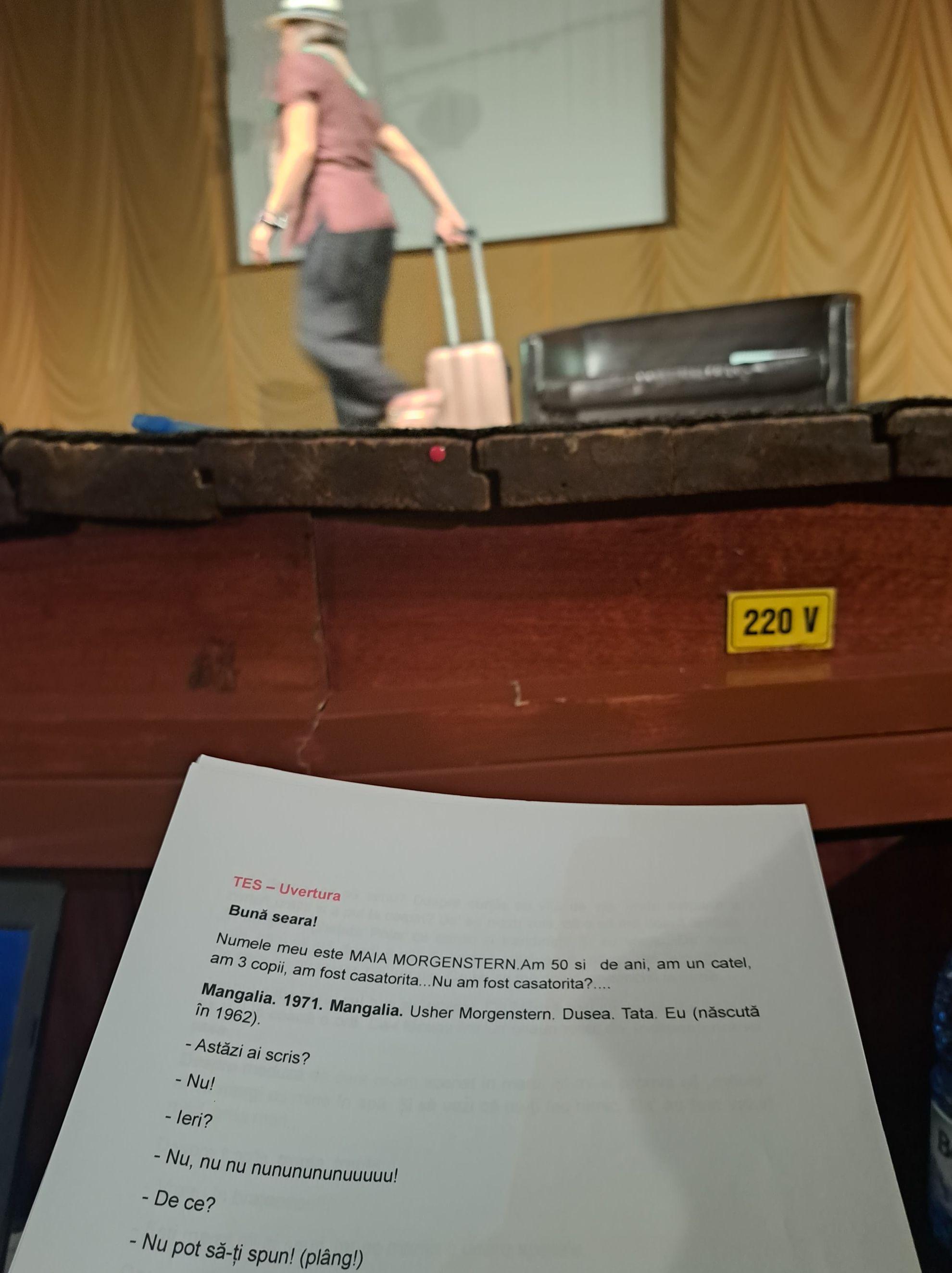 Vederea din postura de sunetist la one woman show-ul Maiei Morgenstern din cadrul „SFR la Open Camp Vaslui”, 2022