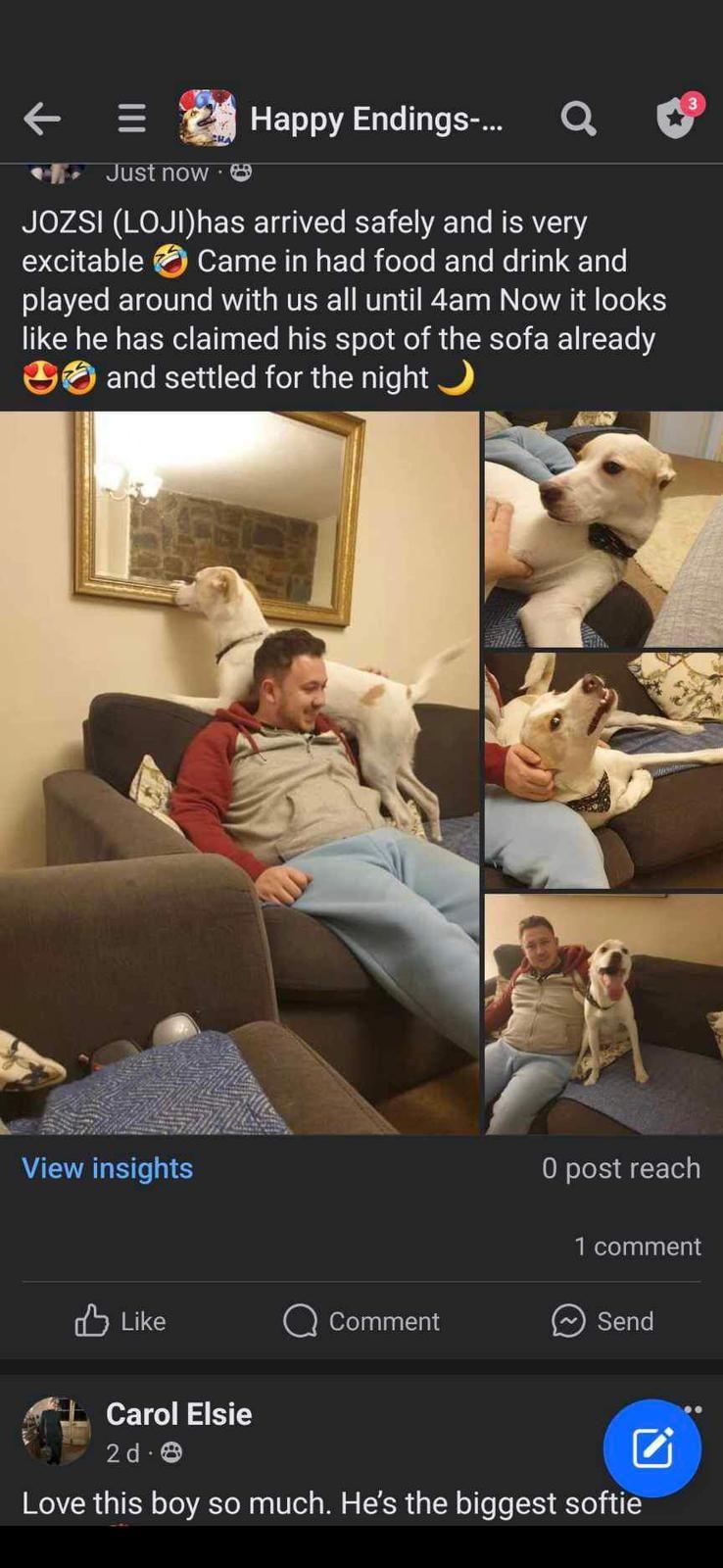 Ioji ajuns la destinație în noua sa familie din Anglia.