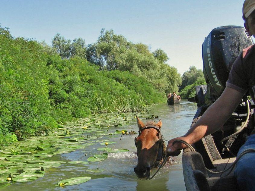 Oana Ivan a filmat de-a lungul a 7 ani viața haholilor din Sfântu Gheorghe. Fotografiile fac parte din arhiva Oanei Ivan.