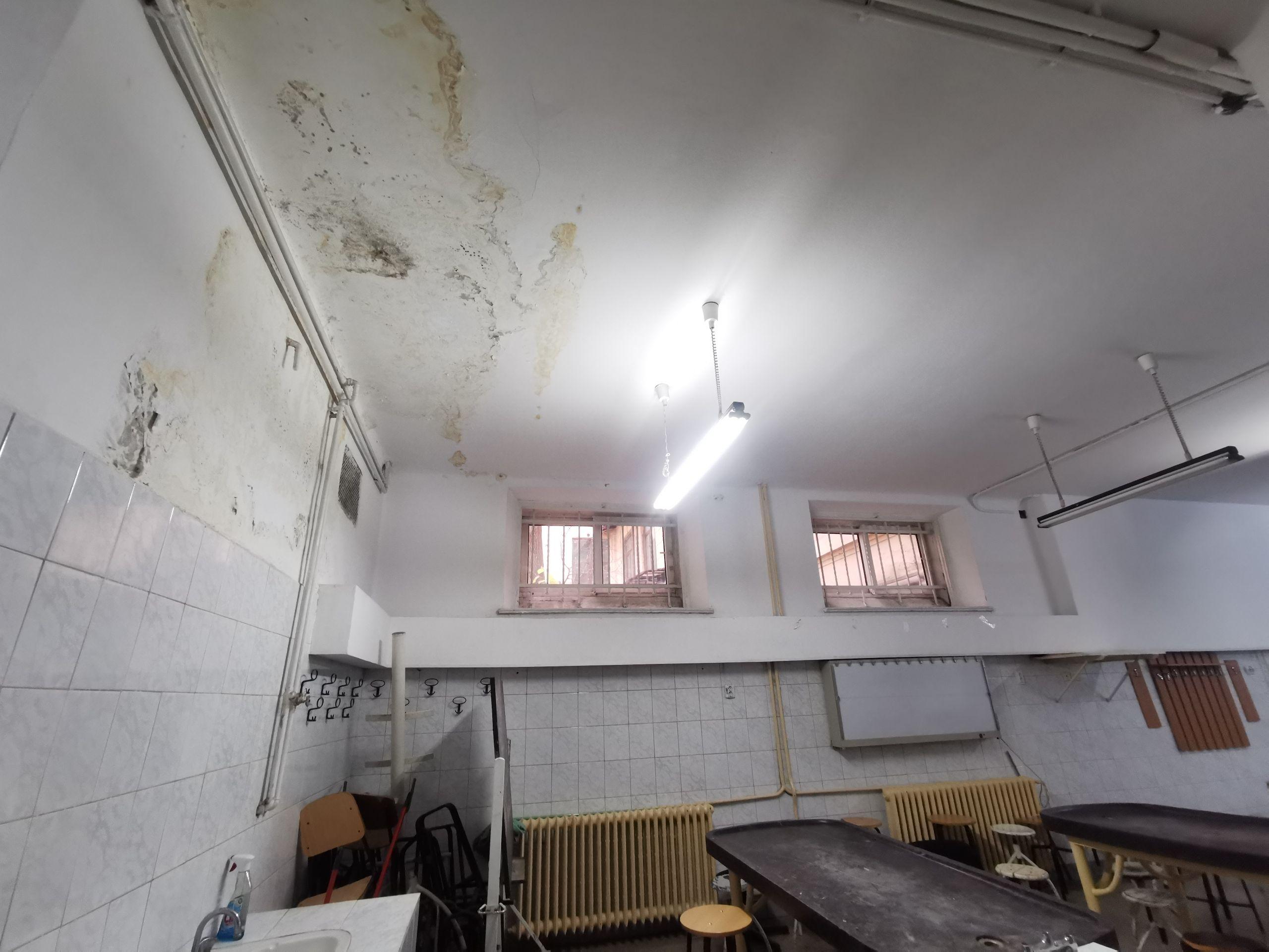 Sala de anatomie Francisc Reiner. Foto: Miriam Țepeș-Handaric