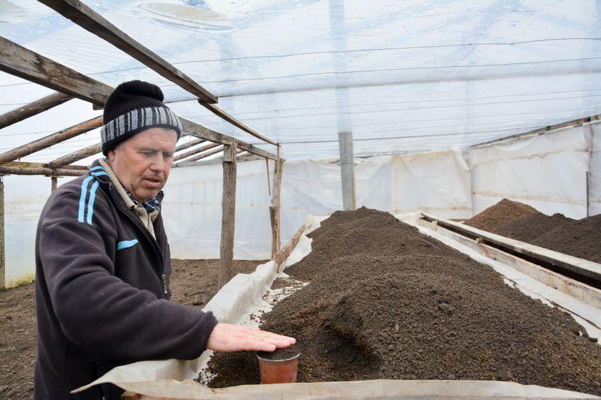 Ion Borza simte cu mâinile recolta viitoare.