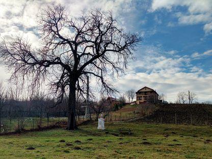 Mărețul Castan al Micii Uniri