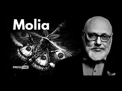 Documentar VIDEO. Molia. Metamorfoza „doctorului de suflete” Cristian Andrei