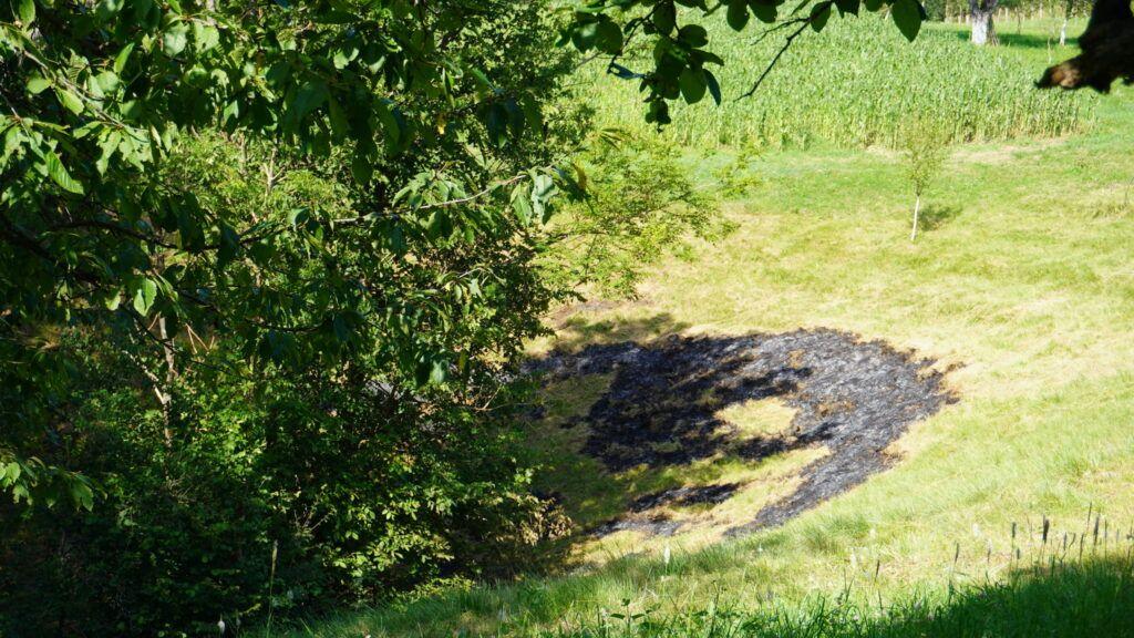 <em>Zona unde a fost arsă vegetație de curând, Iabalcea, iulie 2023.</em> Foto: Laura Popa