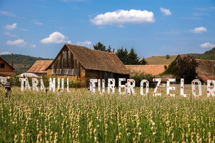 Hoghilag, tărâmul tuberozelor