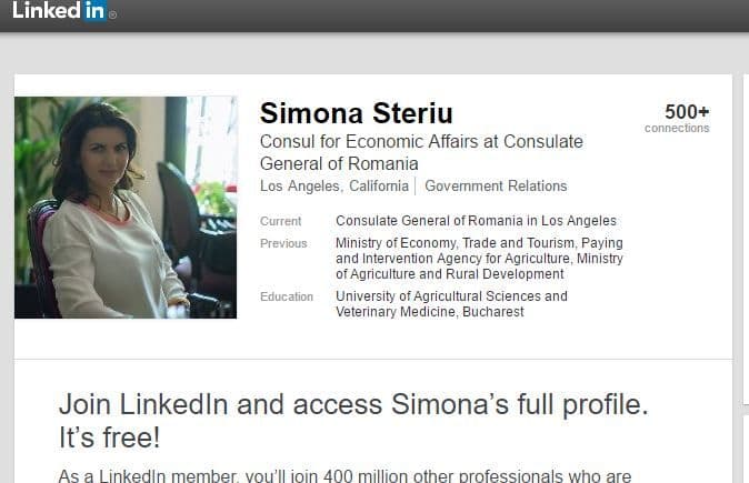 Profilul de pe LinkedIn al Simonei Steriu.