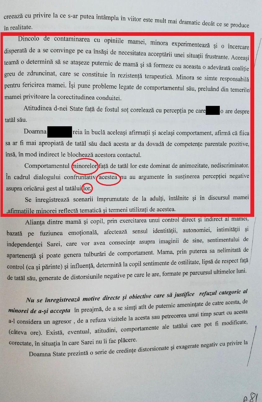 Concluzii raport familia State - psiholog Katrinel Armășelu (2019)