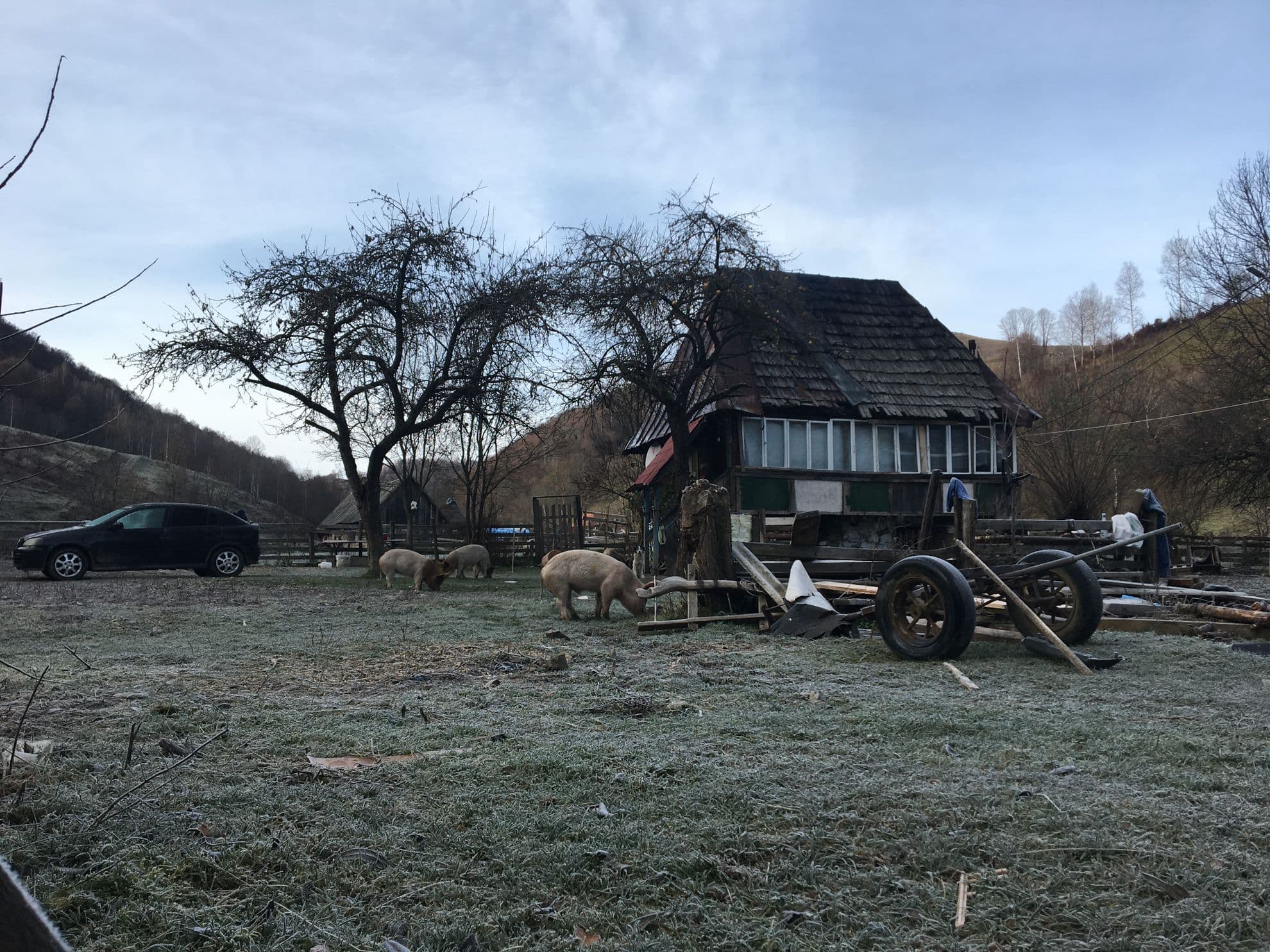 Satul Geogel, Ponor, 1 decembrie 2022. Foto: Bianca Felseghi