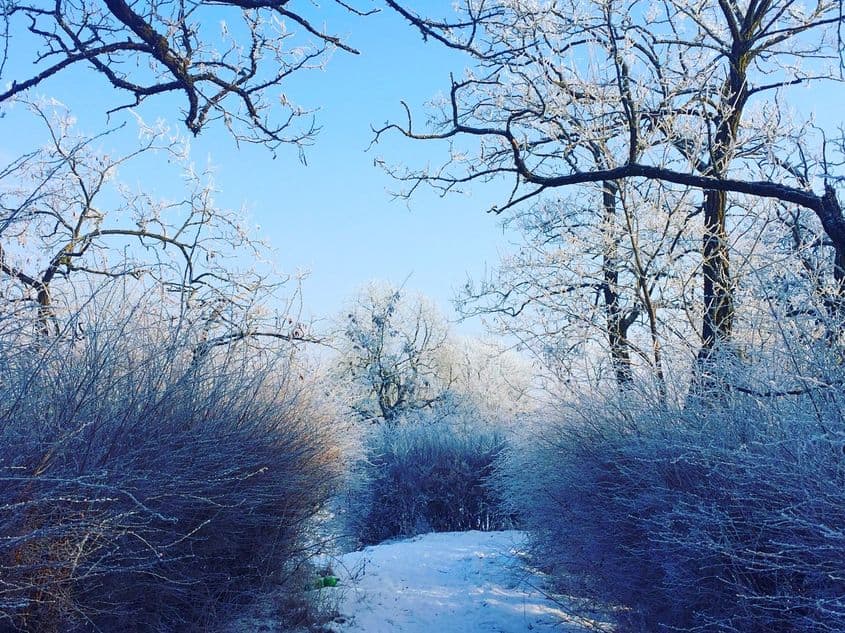 Oare o ieșire în natură n-ar fi un tratament mai bun?