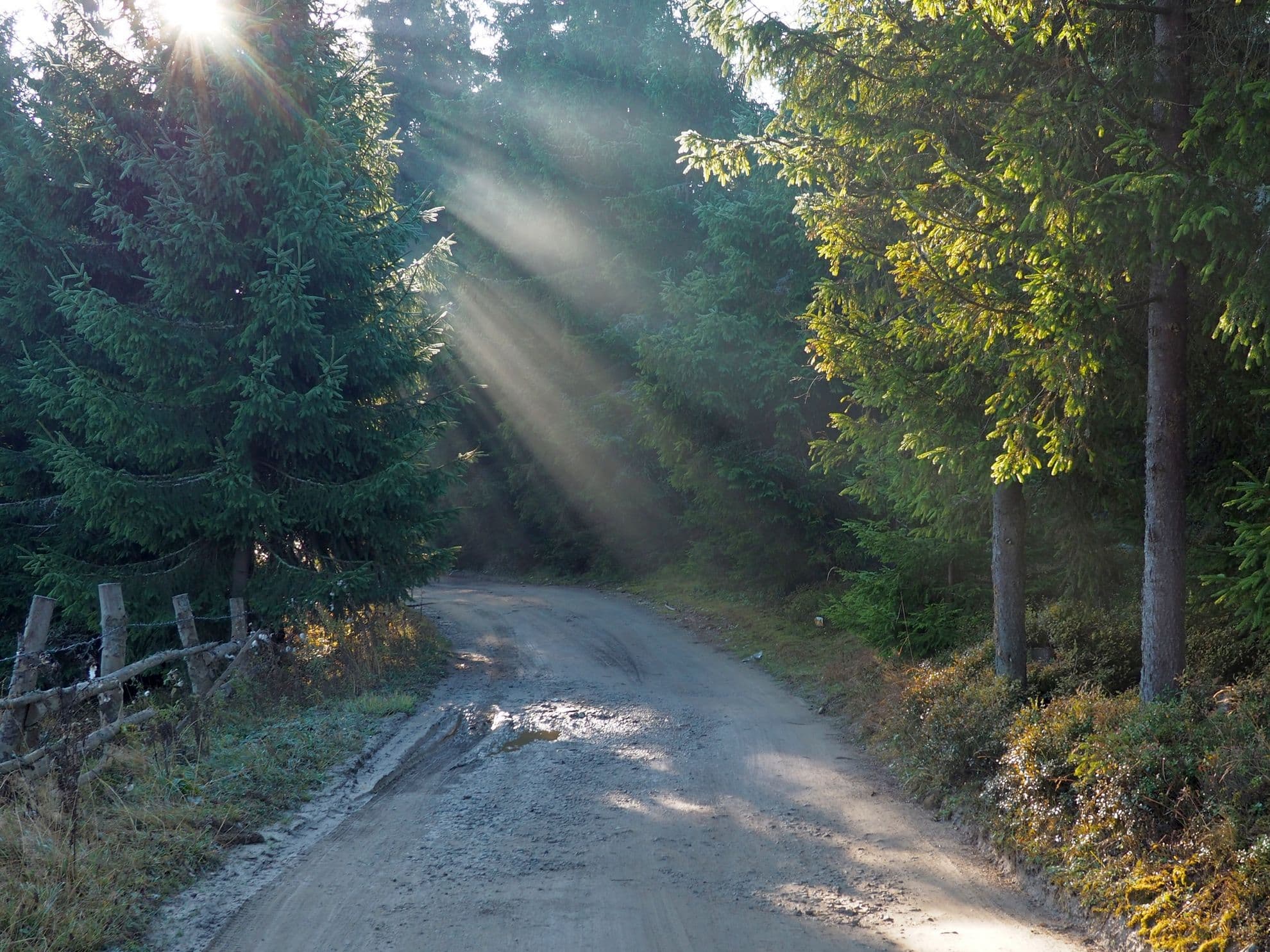 Toamnă perfectă cu drum posibil.