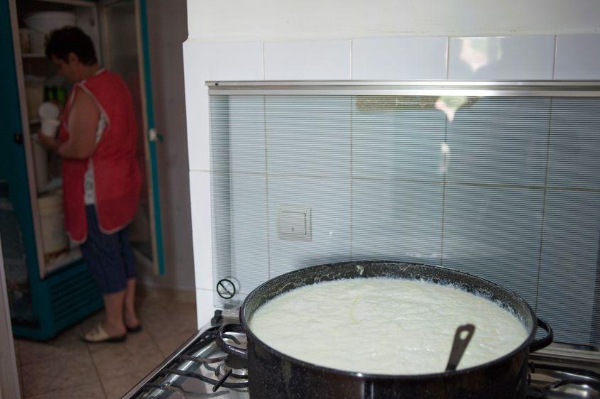 Toată ziua – bună ziua, doamna Coca fierbe laptele și face brânzeturi