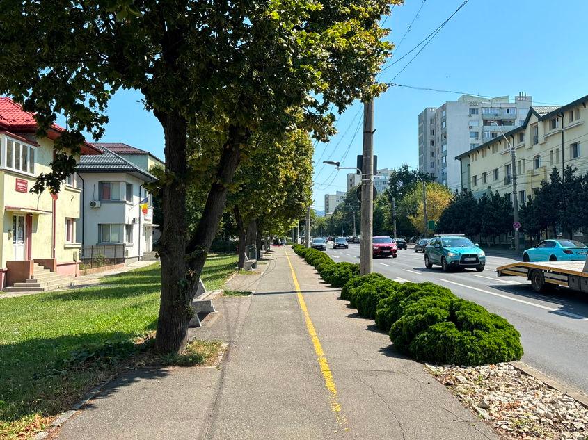 Baia Mare - Bulevardul Regele Mihai I are, la rândul său, arbori maturi. Umbra însă vine peste trotuar doar într-o parte a zilei