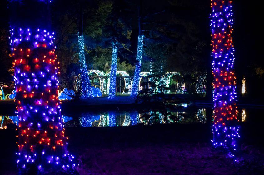 Foto: Facebook Garden of Lights - București