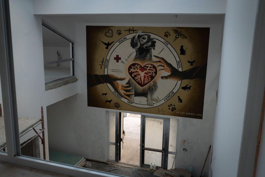 Spitalul în contrucție la asociația Sache, în Tărtășești, pe 12 decembrie 2024. Foto: Andreea Câmpeanu