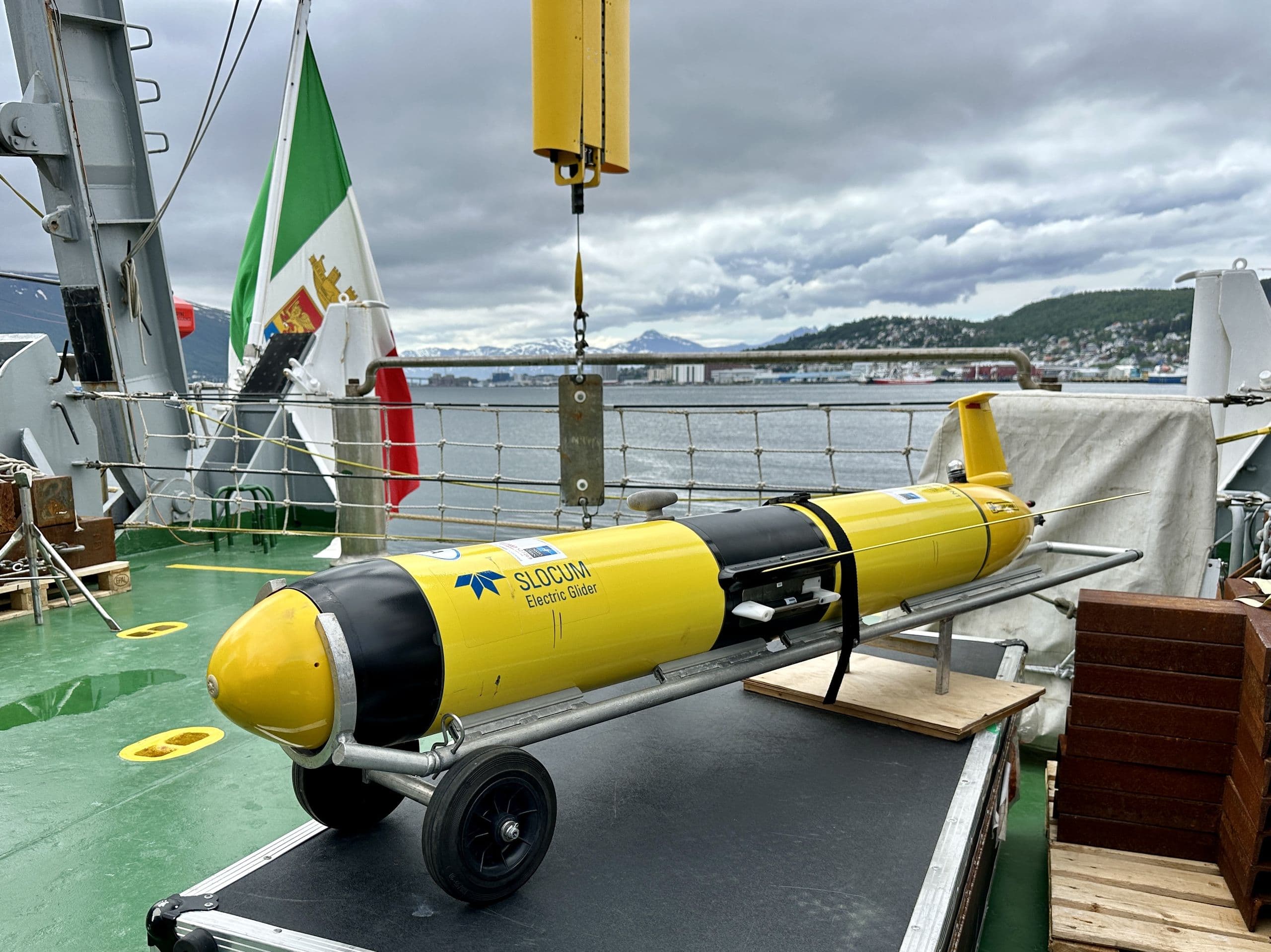 Foto: Carolina Drüten