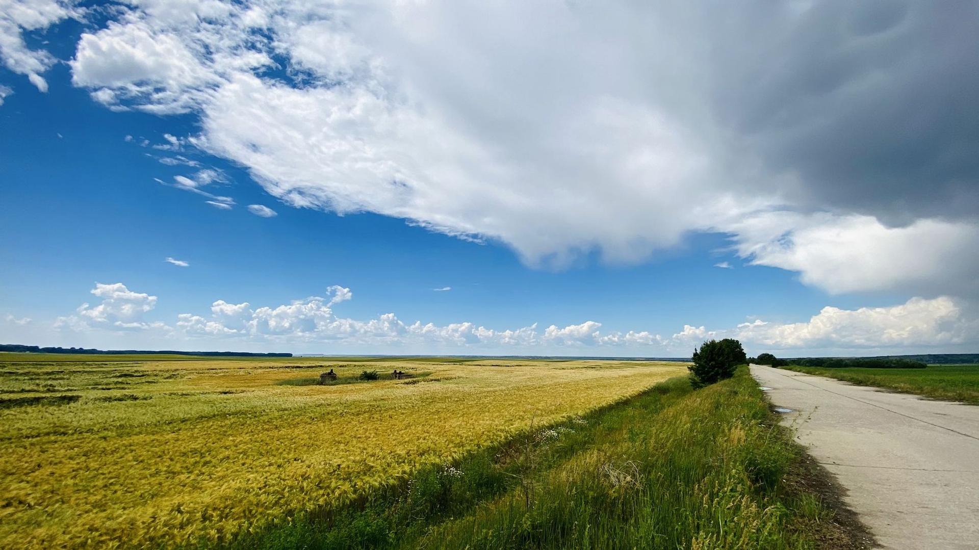 Sudul țării are frumusețea lui, iar pustietățile Dunării îți oferă orizonturi largi, de vară leneșă. Foto: Maria Tufan