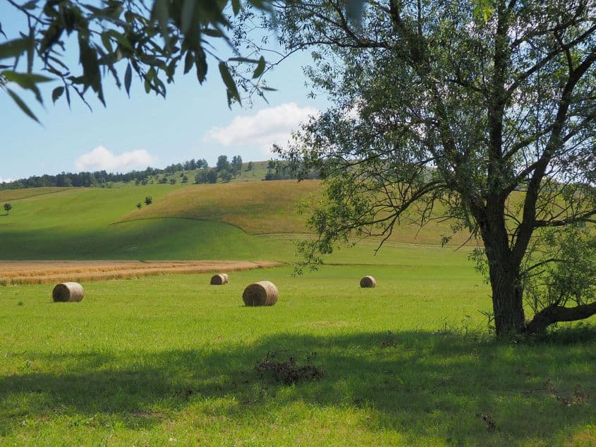 Când te așezi la drum pe Via Transilvanica, altfel vezi lucrurile. Foto: Voicu Bojan