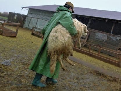 Un’ te duci tu, mielule?