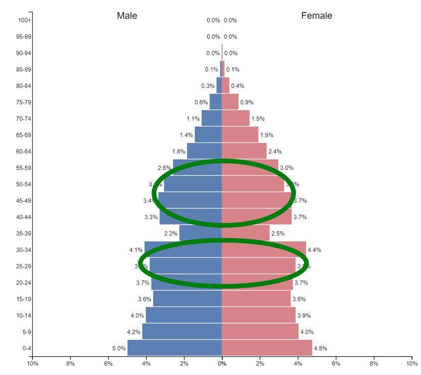 Sursa: <a target="_blank" href="https://www.populationpyramid.net/" target="_blank" rel="noreferrer noopener">PopulationPyramid.net</a>