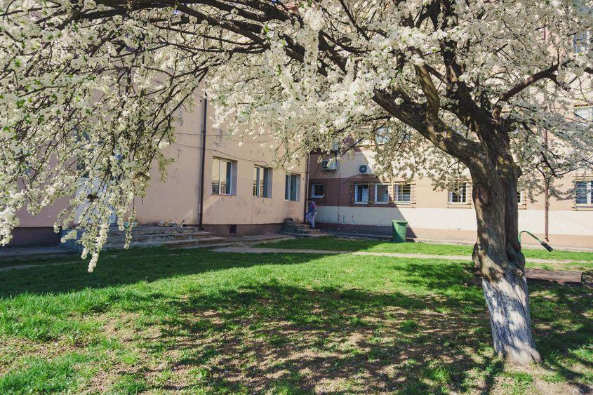 Grădina de la Bălăceanca. Foto: Ioana Epure