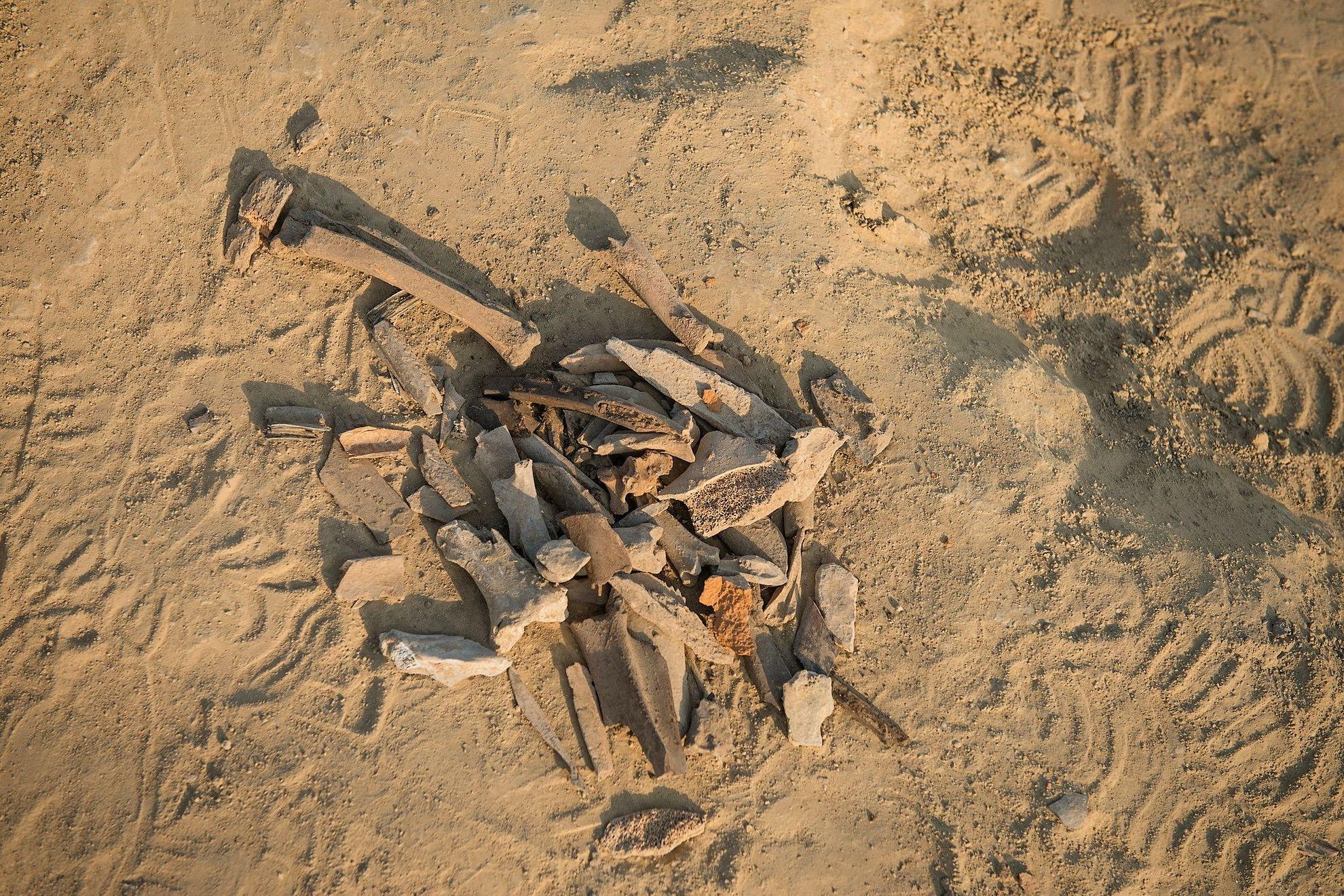 Rămăsițe umane, sit arheologic Pantelimonul de Jos, Constanța