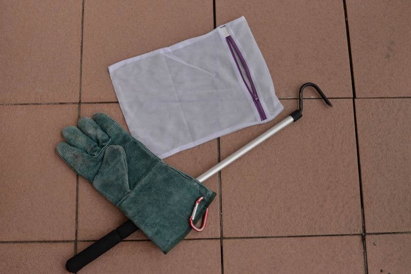 Instrumentele de bază ale herpetologului Vlad Cioflec. Foto: Lucian Muntean