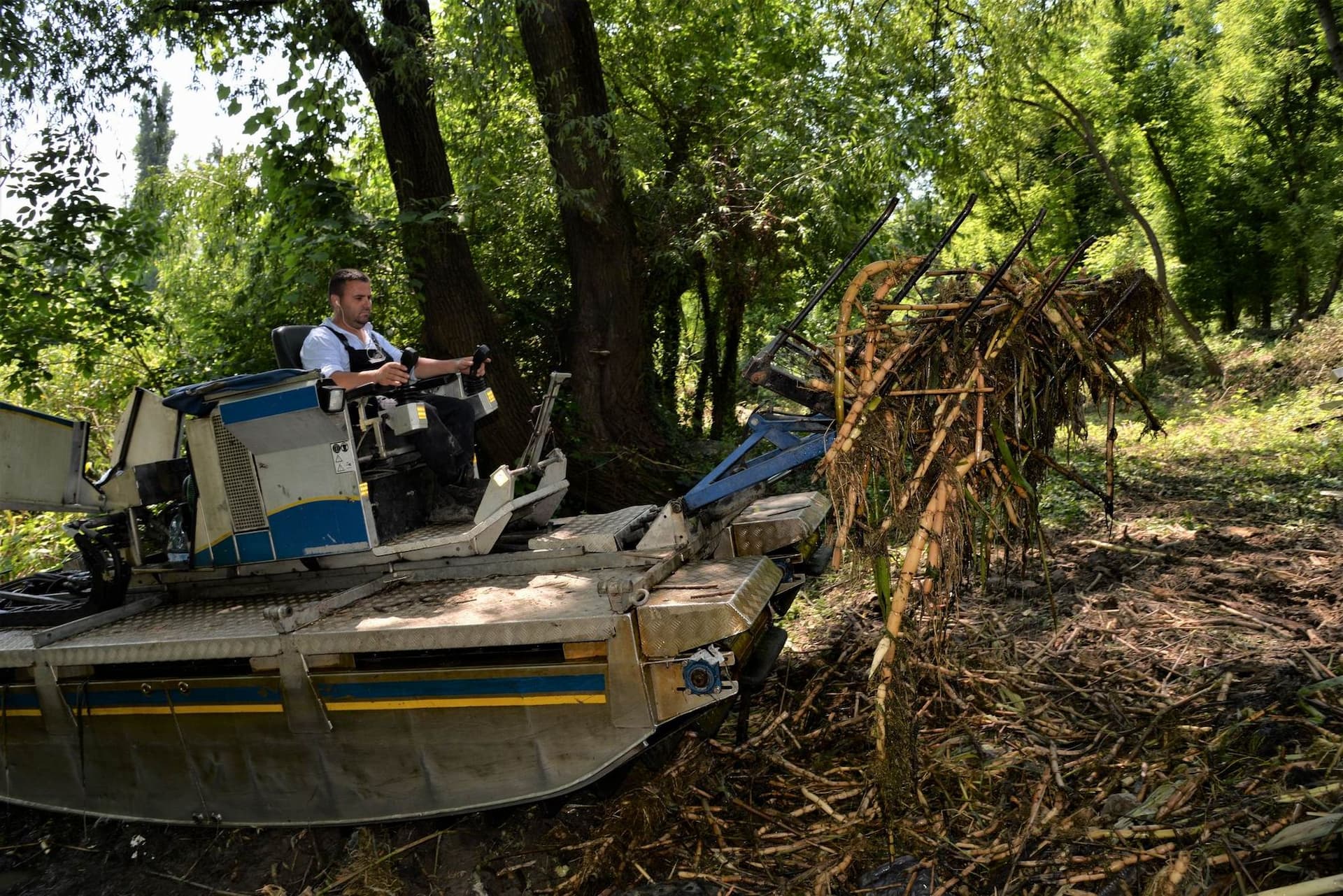 Lucrări de curățare, dragare și reamenajarea Parcul Sticlăriei din Sector 2, București. Foto Lucian Muntean