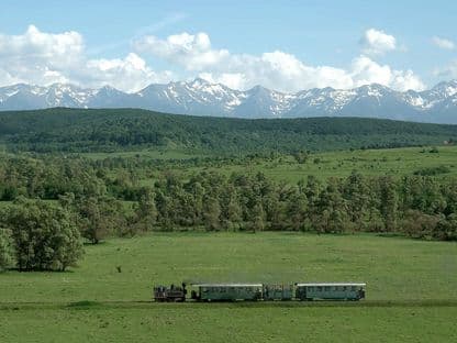 Mocănița de pe Valea Hârtibaciului