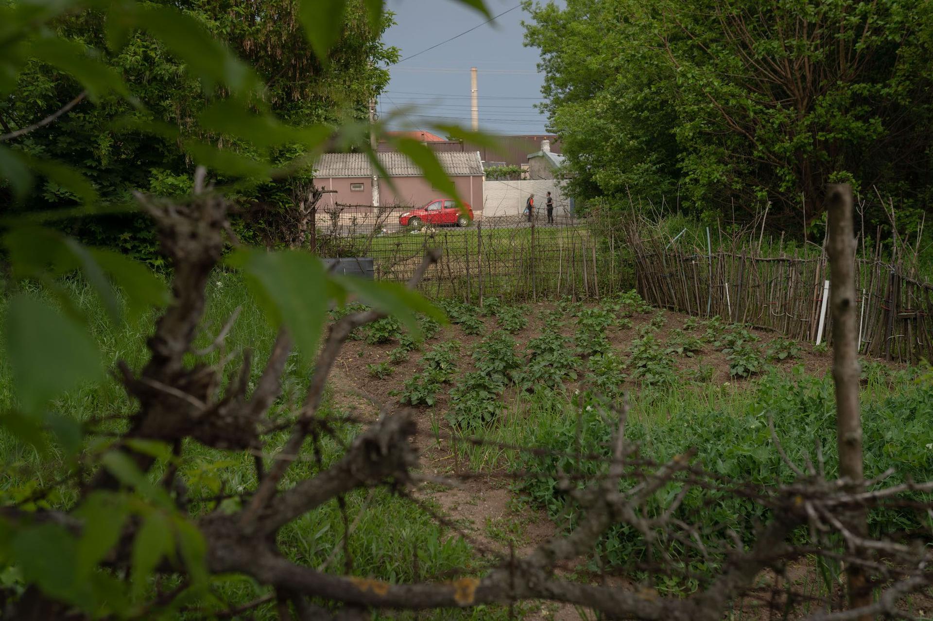O curte a unor localnici, lângă calea ferată abandonată. Foto: Andreea Câmpeanu