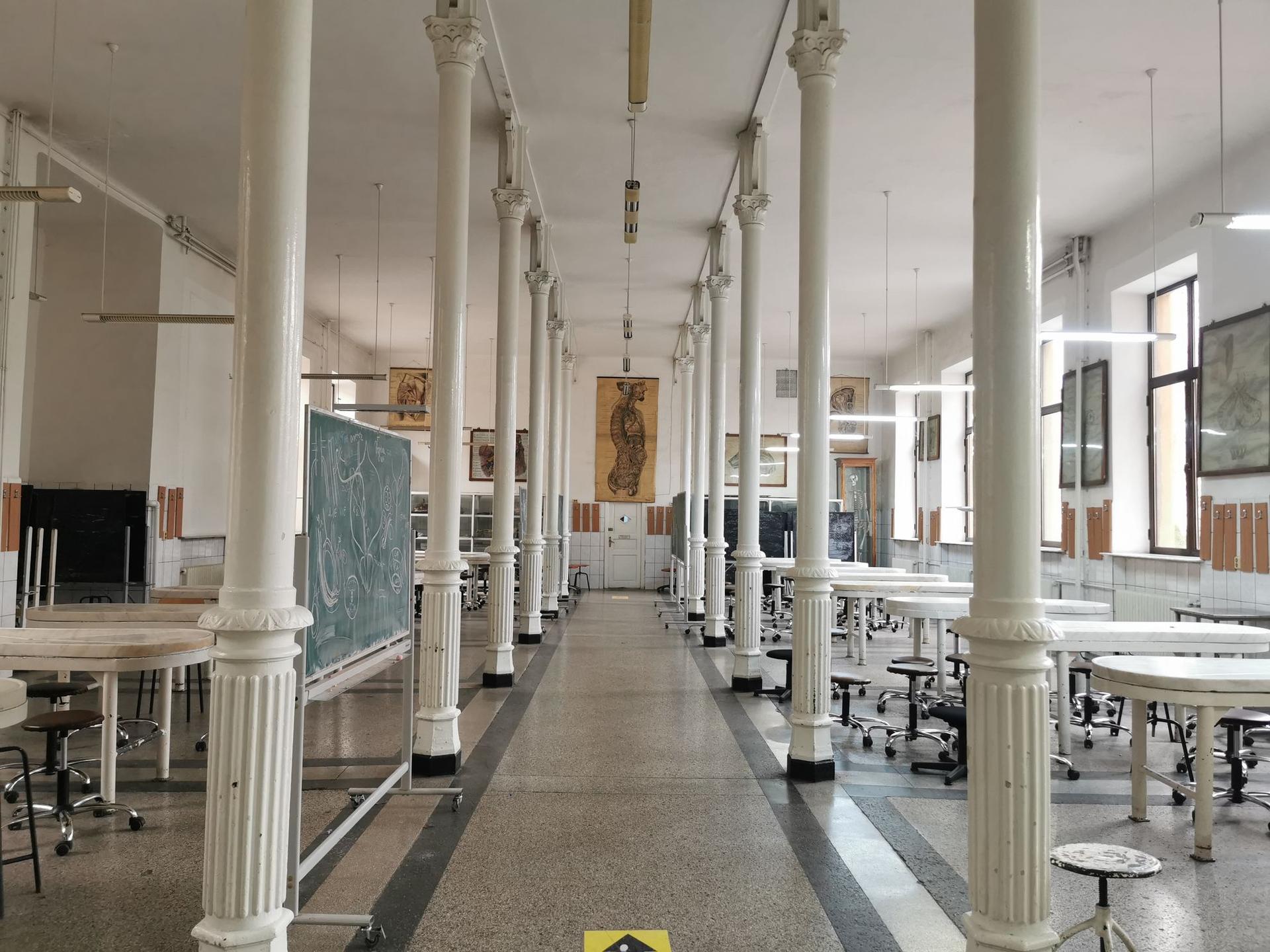 Sala de anatomie Nicolae Kretzulescu, UMFCD
Foto: Miriam Țepeș-Handaric