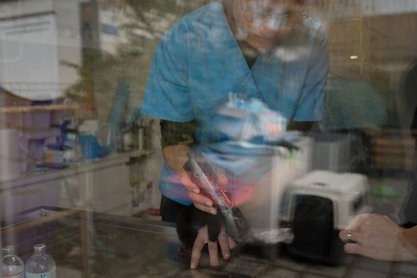 Janina Cîrstea, medic veterinar pregătește o pisică pentru sterilizare, în curtea asociației Sache, în Tărtășești, pe 12 decembrie 2024. Foto: Andreea Câmpeanu