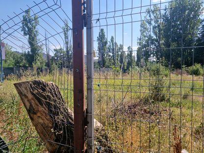 Copacii din Parcul Codrii Neamțului, rași de pe fața Pământului. Proprietarul terenului, patronul Auto Cobălcescu, spune că i-a tăiat pentru a preveni o nenorocire: „Eu bănuiesc că am făcut un lucru bun pentru copiii care sunt la școală”