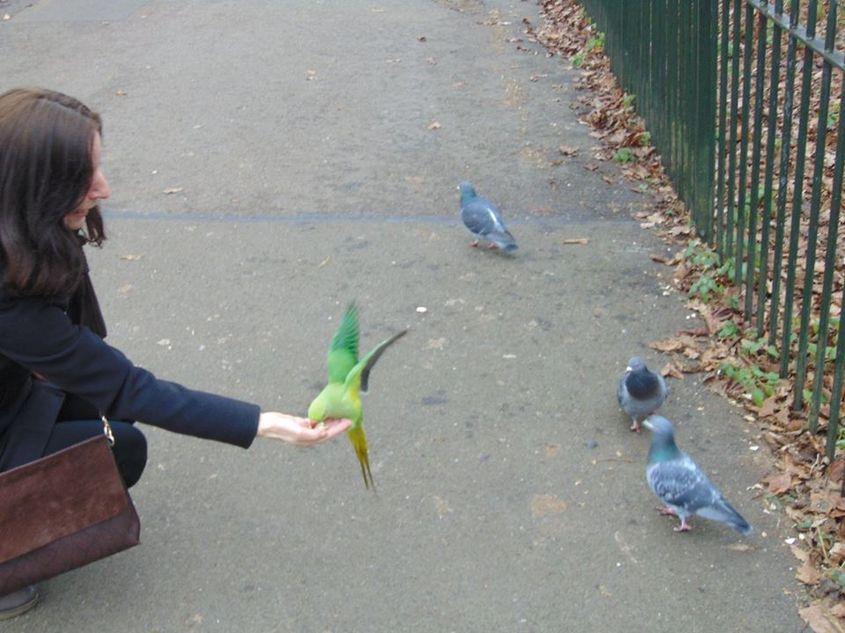 Ana-Maria V., în Hyde Park din Londra. Foto: Facebook