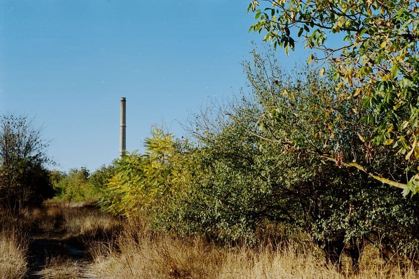 În prezent, de spațiu verde din zona fostelor sere nu se poate bucura nimeni. Terenul este administrat de ADS, dar aleile aparține unei firme private. Foto: Ion Mateș