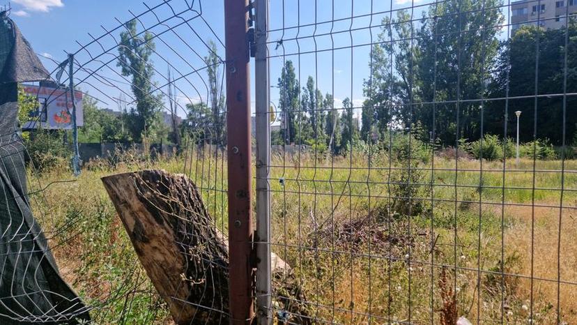 Aici era cândva un parc amenajat de Primăria Sectorului 3. Au rămas buruienile și cioturile. Foto: Răzvan Filip
