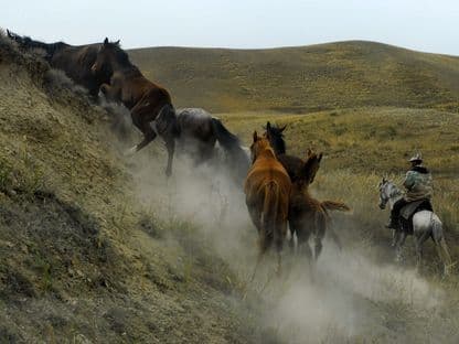 Din Lindenfeld spre Jalal Abad