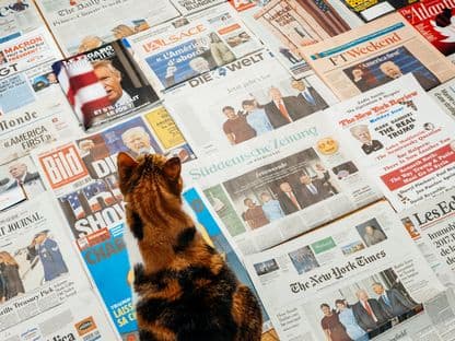 „România pe primul loc”: Copycat Burduja. Asemenea lui Trump, și ministrul Energiei critică „politicile de înverzire” care amenință economia. Care este adevărul