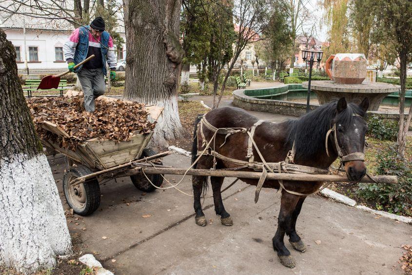 Parcul central din Solca și monumentul Halba de bere.